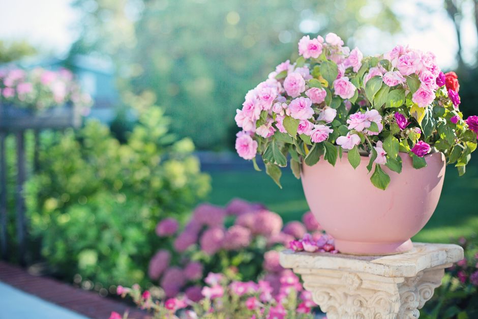 CCTV catches man stealing three-year-old boy's favourite flower pot from Traralgon front yard