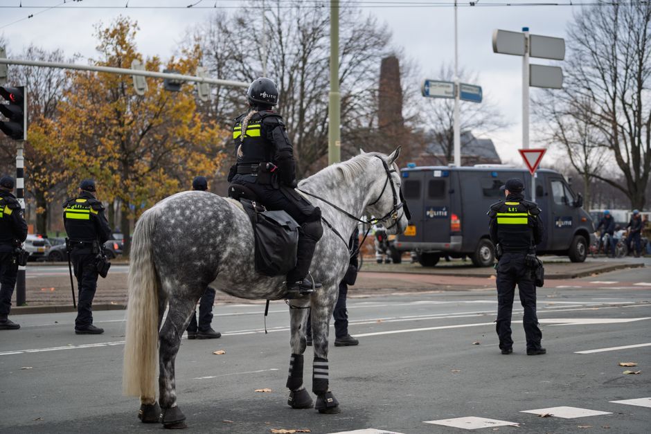 Deceased SA Police Horse Vulcan to Be Cloned So His Exceptional Genes Live On