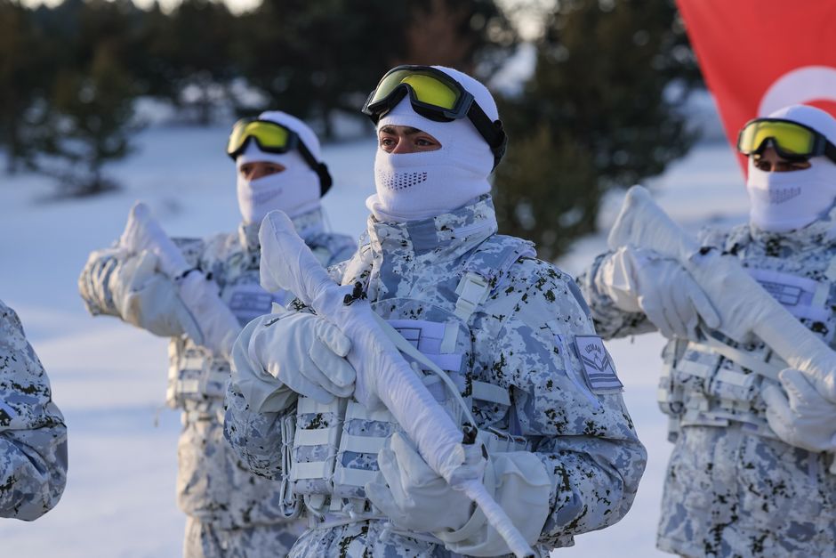 Denmark deploys conscripts to Greenland in Arctic build-up after Trump's acquisition demands