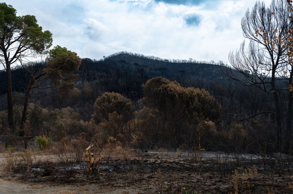 Europe Wildfires 2026: Doorbell Camera Captures Terrifying Speed of English Grassfire as Continent Burns