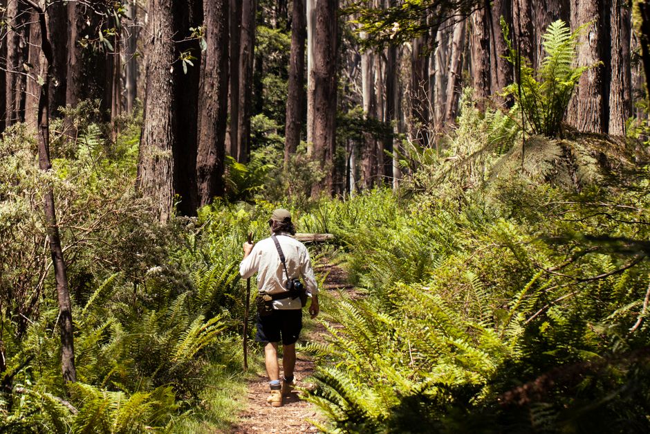 Family calls for 'Lily's Law' after teenager's death on Nattai National Park hike