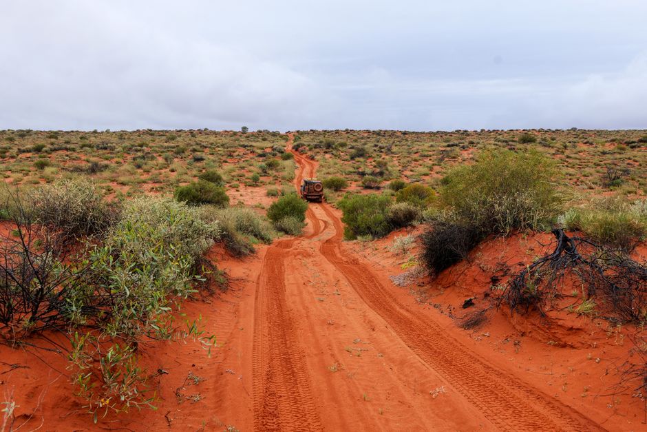 German backpacker Carolina Wilga opens up about surviving 11 nights lost in WA's outback