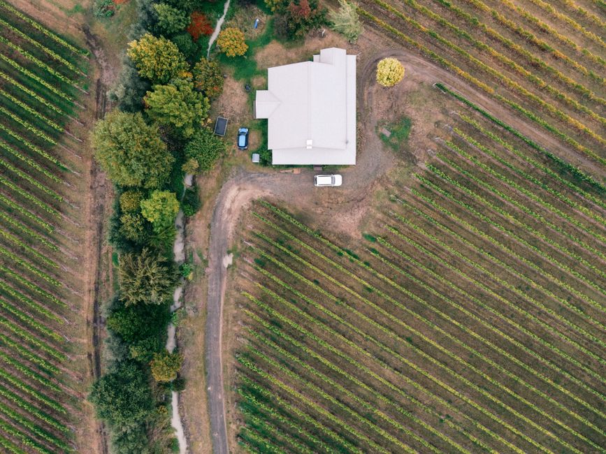 Historic Seppelt Wines sold to Victorian family business Stonier with plans to revive production