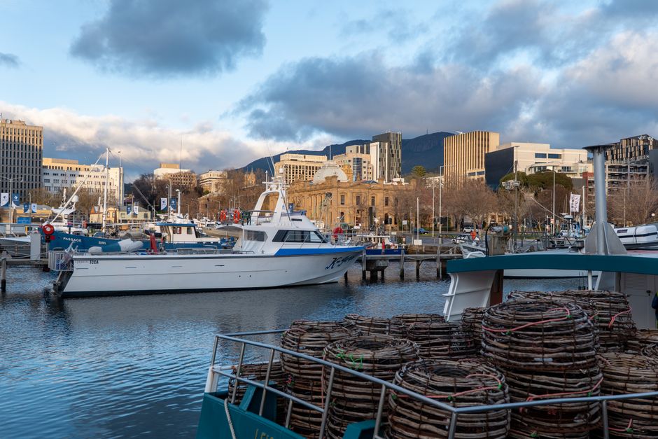 Hobart 'Stadium 2.0' developer's company collapses into liquidation owing $6 million as he pursues new waterfront project