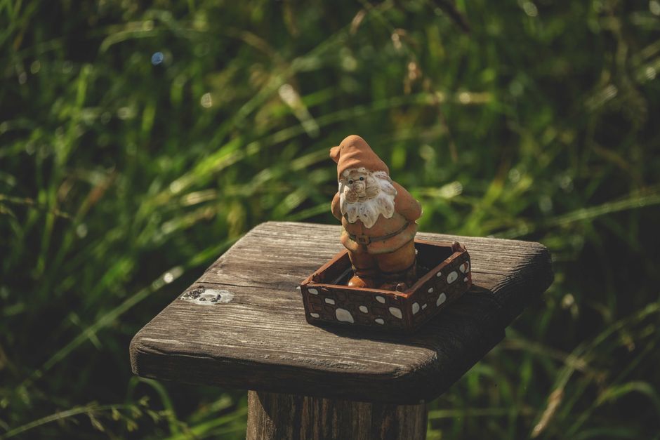 A whimsical garden gnome figurine sits on a rustic wooden pedestal amidst lush greenery.