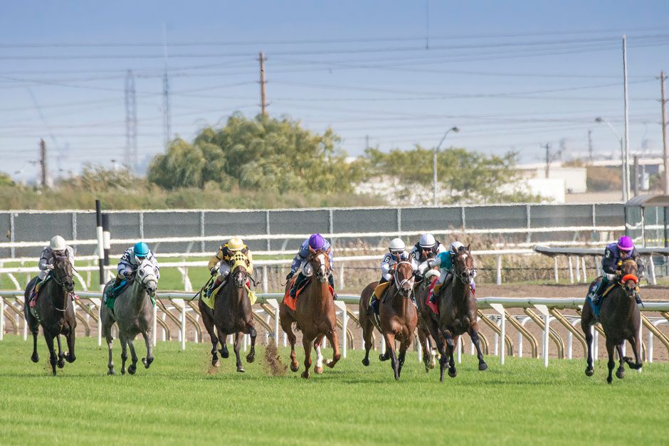 Dynamic horse racing scene showcasing competitive equestrians and galloping horses.