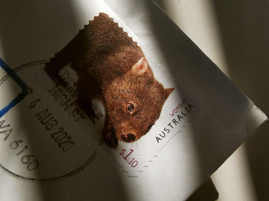 Space junk, old farts clubs and classroom cows: Readers share their slice of Australian life
