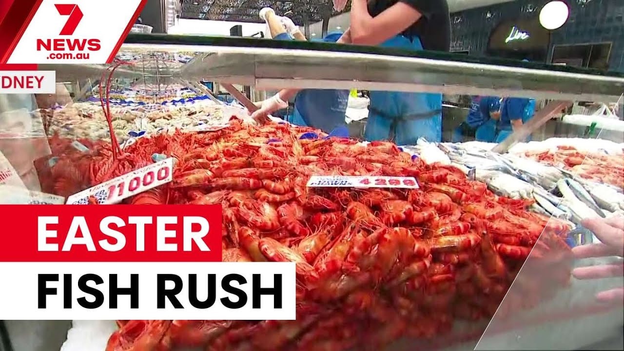 Sydney fish market Easter trading: crowds, prices, volumes
