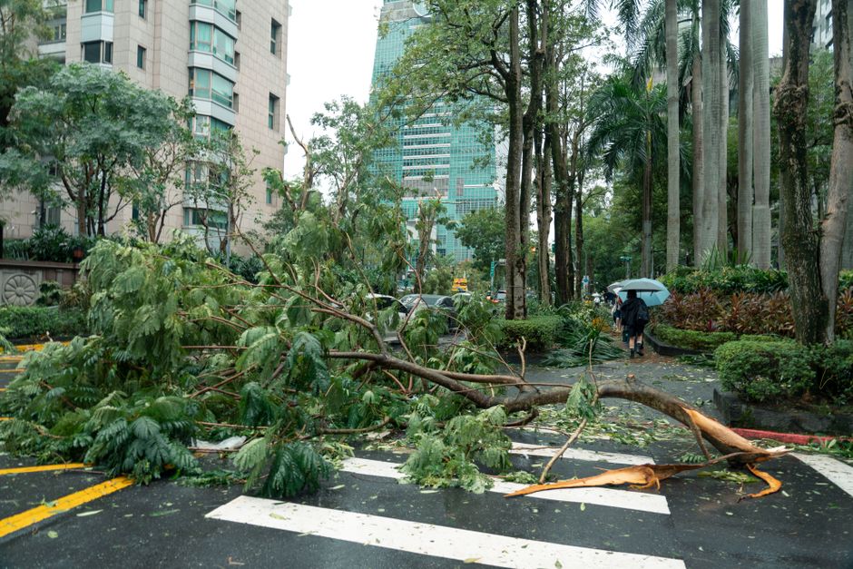 Typhoon Dolphin Slams China's East Coast, Forcing Over One Million to Evacuate