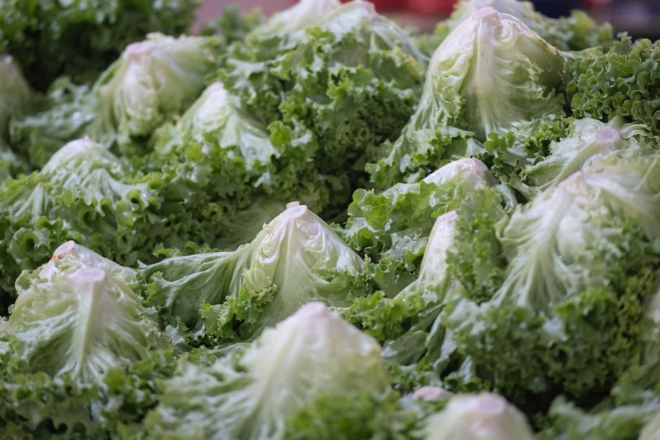 US Cyclosporiasis Outbreak Linked to Shredded Lettuce Spreads to Six More States as Deaths Confirmed